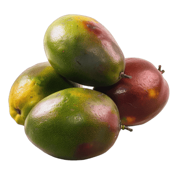 Mango fruit with leaf png