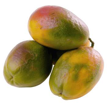 Mango fruit with leaf png