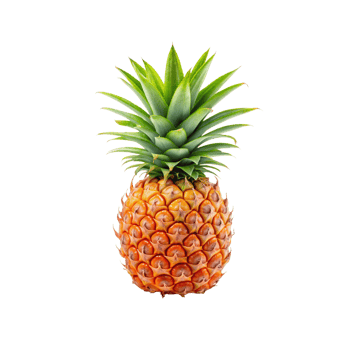 pineapple on transparent background png