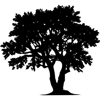 Tree silhouette set on a transparent background png