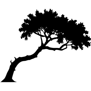 Tree silhouette set on a transparent background png