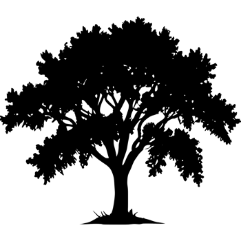 Tree silhouette set on a transparent background png