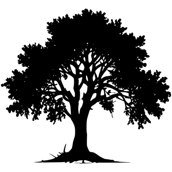 Tree silhouette set on a transparent background png