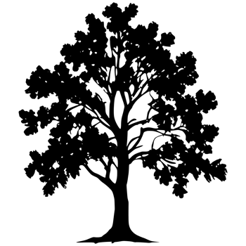 Tree silhouette set on a transparent background png