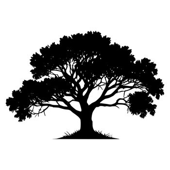 Tree silhouette set on a transparent background png