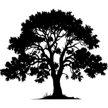 Tree silhouette set on a transparent background png