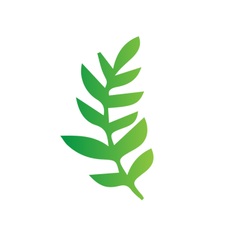 flat green leaves png