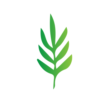 flat green leaves png