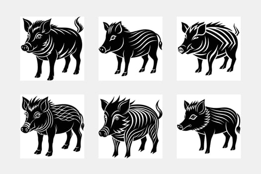Hog illustration bundle vector