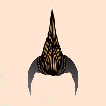 Enhanced detailing of the punk hair. eps 10 vector