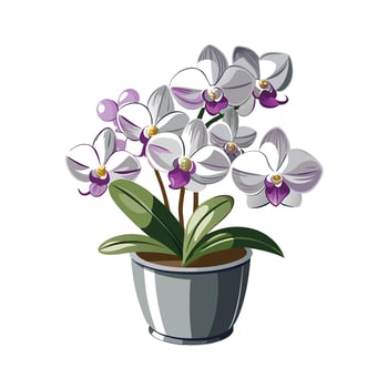 Flowerpot Houseplant Illustration vector
