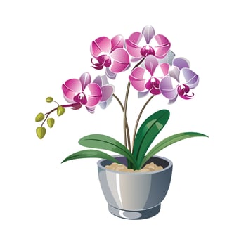 Flowerpot Houseplant Illustration vector