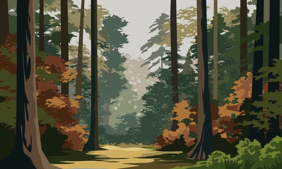 Woodland landscape illustration. Beautiful forest with footpath vector