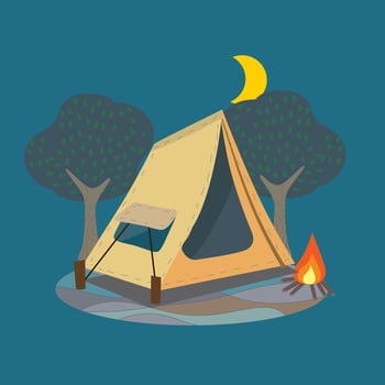 fire camping at night vector