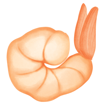 Tempura shrimp Japanese food png