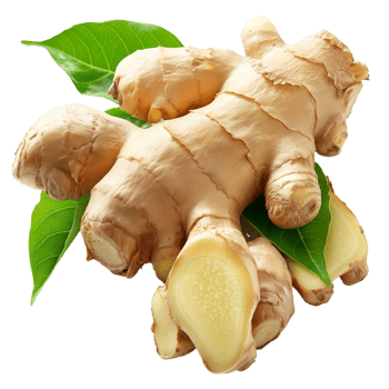 Fresh Ginger Root with Green Leaves png