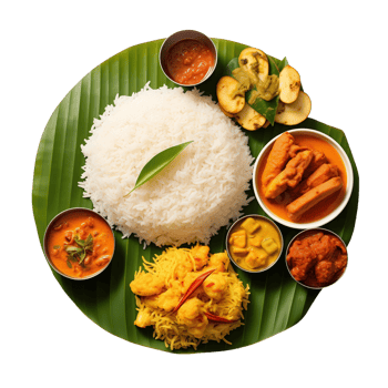 Delicious South Indian Thali png