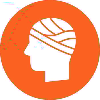 Head Glyph Multi Circle Icon vector