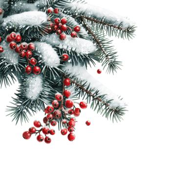 Christmas Tree on Transparent Background png