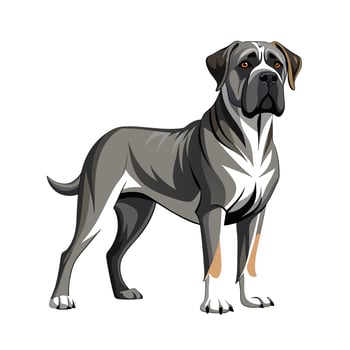 Realistic Illustration of Popular Pet Dogs vector