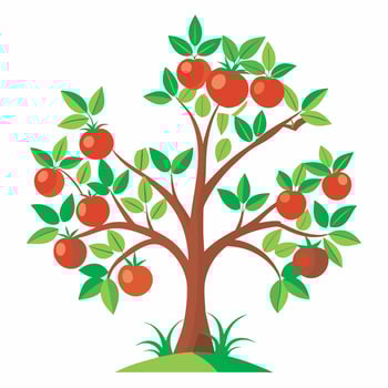 Apple tree with fruit on it vector