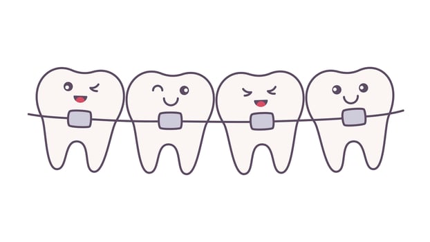 teeth row with braces vector