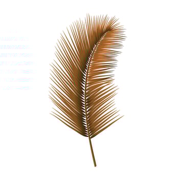 Tropical palm leaf isolated illustration on white background vector