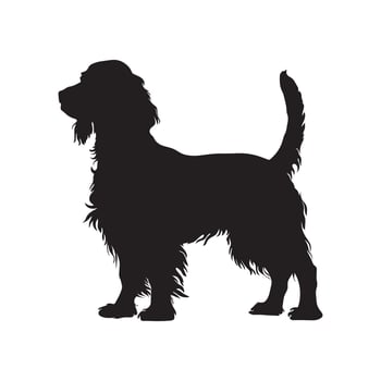 American Water Spaniel dog silhouette Design, Dog Clipart illustration in black and white vector