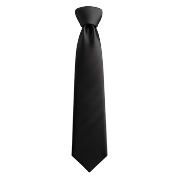 Neatly Tied Black Tie Display on Transparent background AI-Generative png