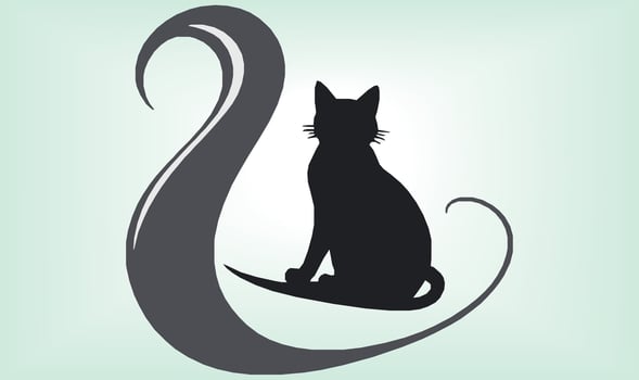 Cat Silhouette International Cat Day. vector