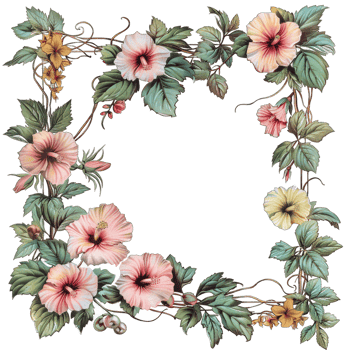 an illustration of flowers in a frame png