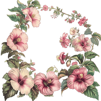 an illustration of flowers in a frame png