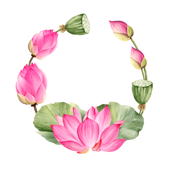 watercolor wreath with pink lotus flower, buds and leaves, hand drawn illustration of spa and yoga theme, sketch of purple and magenta water lily, Asian tropical flower png