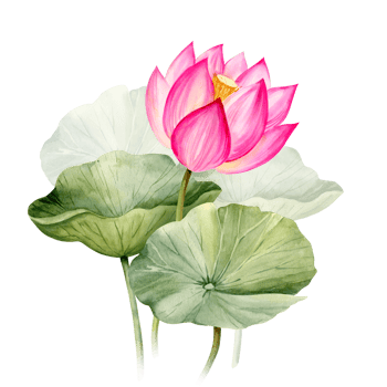 Neon pink lotus flower and leaves, watercolor illustration. Bright Asian tropical water lily plant with bud for spa and yoga salon, blogs and floral botanical cards png