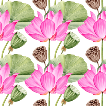 watercolor seamless pattern of pink lotus flower, buds and leaves, hand drawn illustration of spa and yoga theme, sketch of purple water lily, Asian tropical flower png