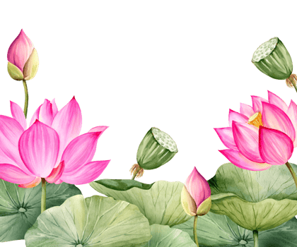 watercolor background with pink lotus flower, buds and leaves, hand drawn illustration of spa and yoga theme, sketch of purple water lily, Asian tropical flower png
