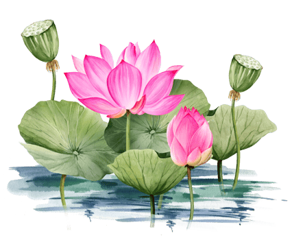Neon pink lotus flower and leaves growing in water, watercolor illustration. Bright Asian tropical water lily plant with bud for spa and yoga salon, blogs and floral botanical cards png