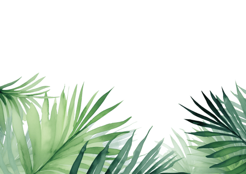 Leaves watercolor watercolour design elements png