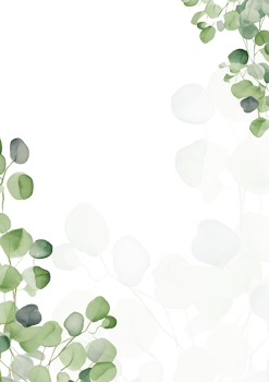 watercolor elements for design png