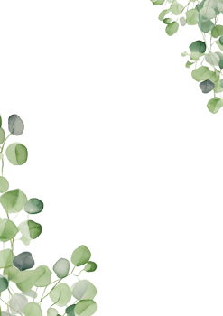 watercolor elements for design png