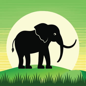 Elephant silhouette art illustration vector