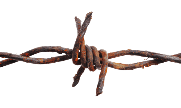 Close-up of rusty barbed wire png