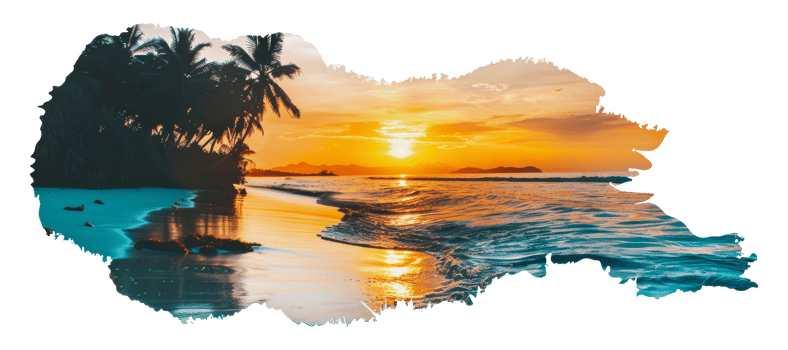 Tropical sunset beach scene with palm trees and waves, cut out - stock png. png