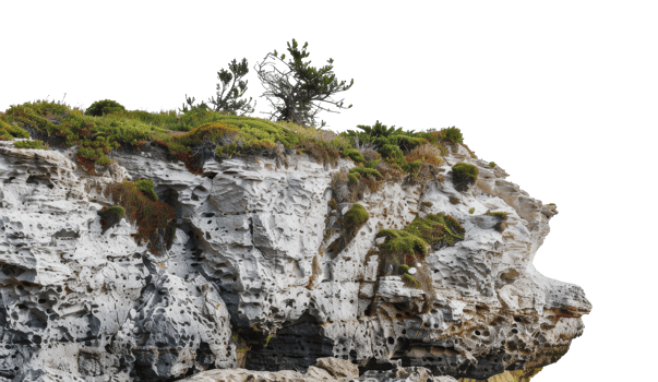 Coastal cliffside with lush green vegetation and small trees, cut out - stock png. png