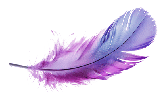 Single purple and blue feather, cut out - stock png. png