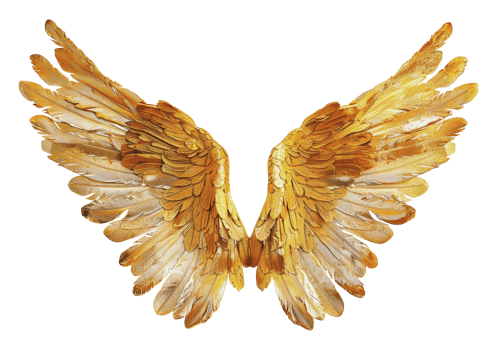 Golden angel wings, cut out - stock png. png