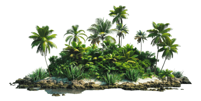 Lush tropical island with palm trees and sandy shore, cut out - stock png. png
