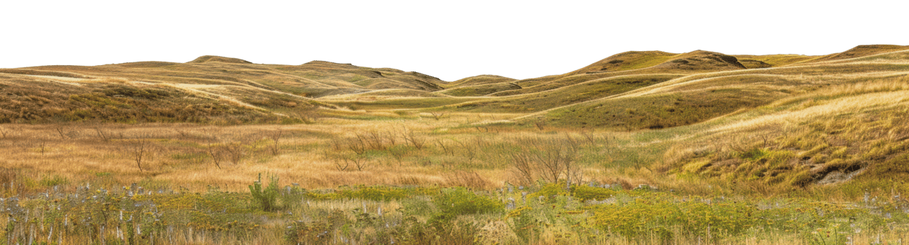 Rolling hills of grassland in saskatchewan during fall, cut out - stock png. png
