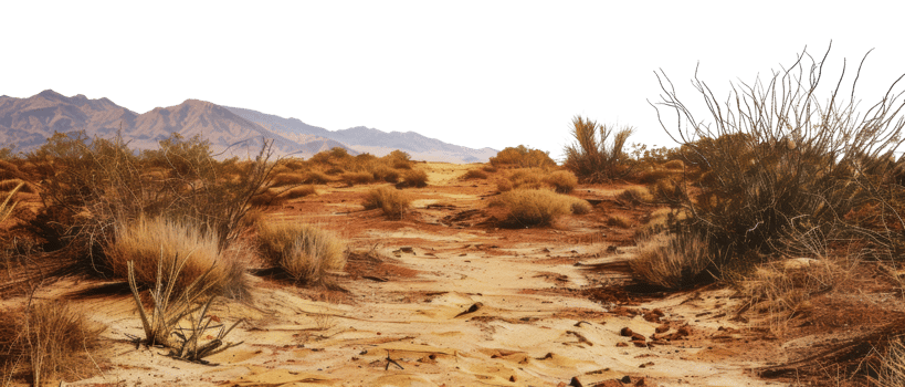 Dry desert landscape with mountain range in the distance, cut out - stock png. png