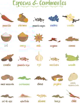 Set of 25 different culinary species and condiments in cartoon style. Spanish names. vector